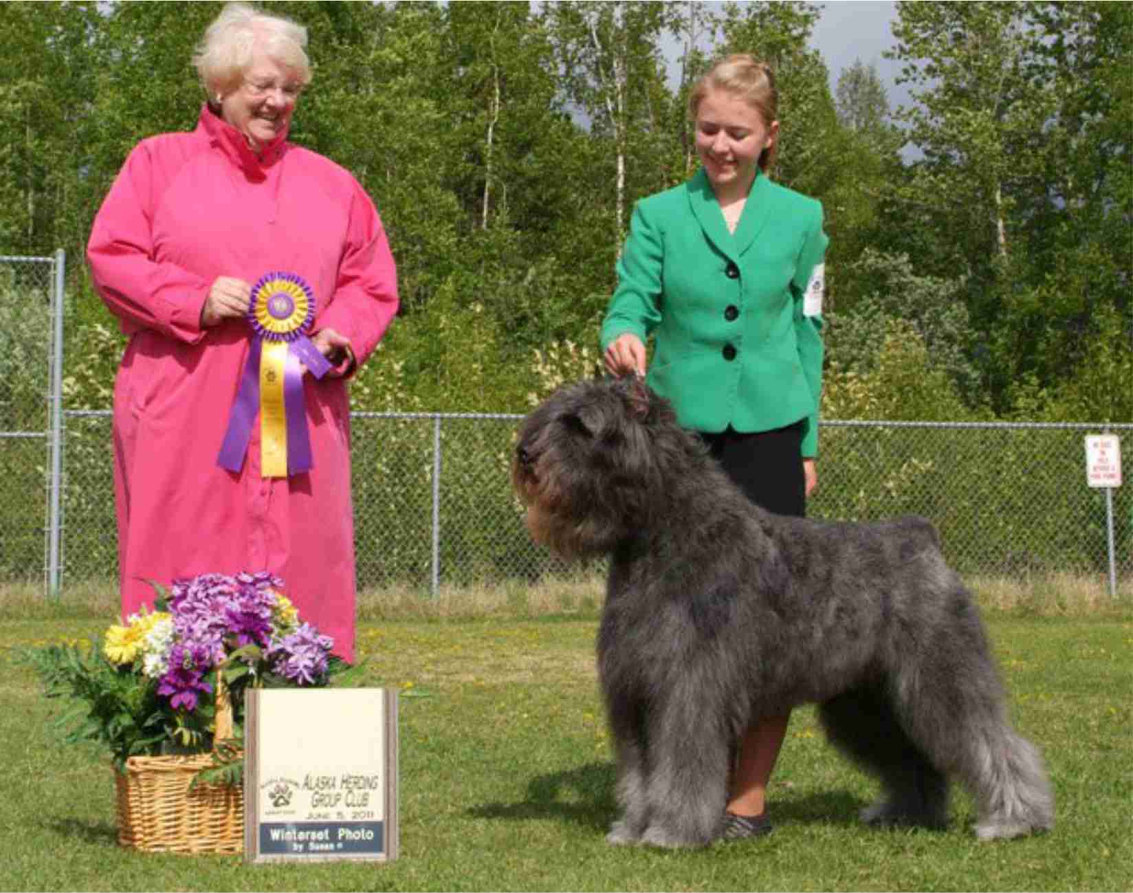 another junior iwth a Bajoron Dog